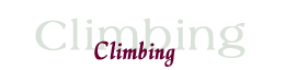 Climbing