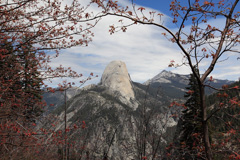 picture of yosemite